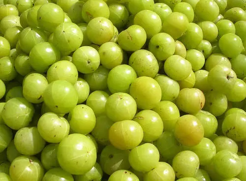 5 Reasons why you should add Amla to your diet!