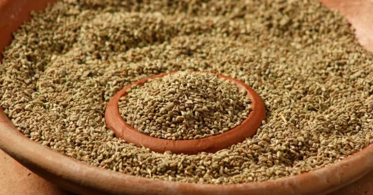 Ajwain: A regular in Indian Households