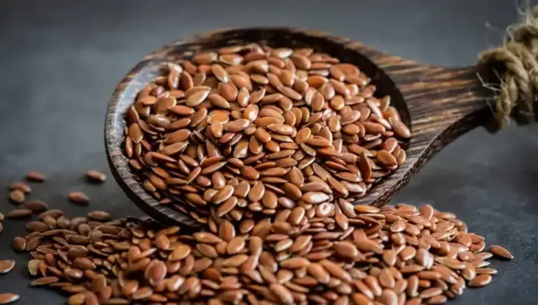 Flax Seeds: Uses and Benefits